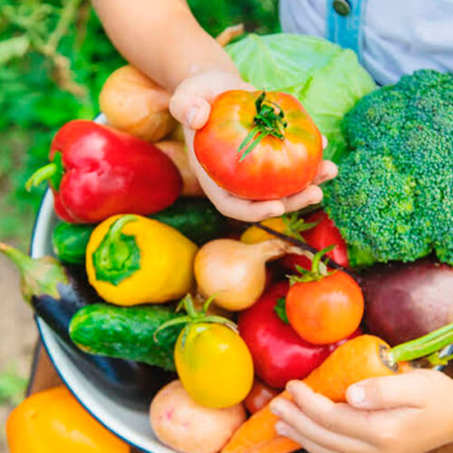 Fresh Fruits and Vegetables